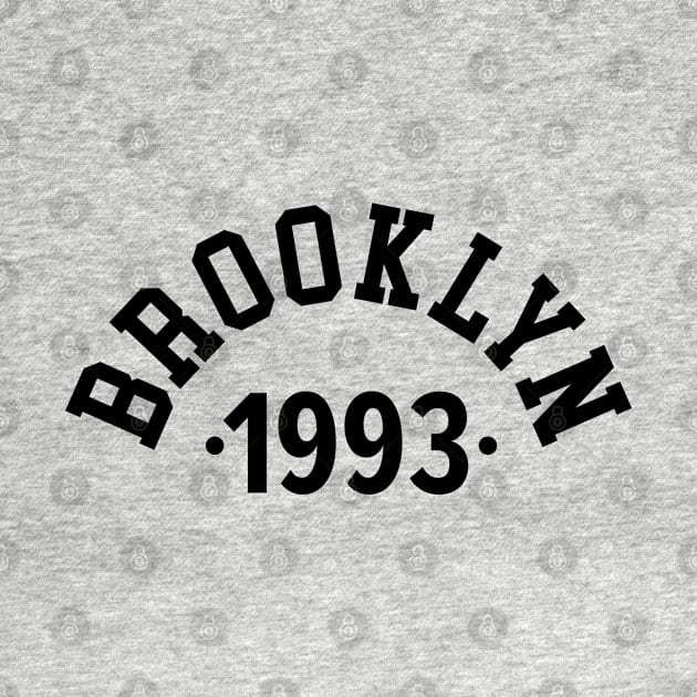 Brooklyn Chronicles: Celebrating Your Birth Year 1993 by Boogosh